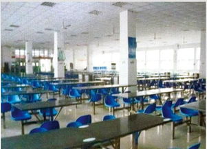 河南微笑餐飲管理公司閃耀中國食品春晚，榮膺優秀品牌彰顯卓越管理